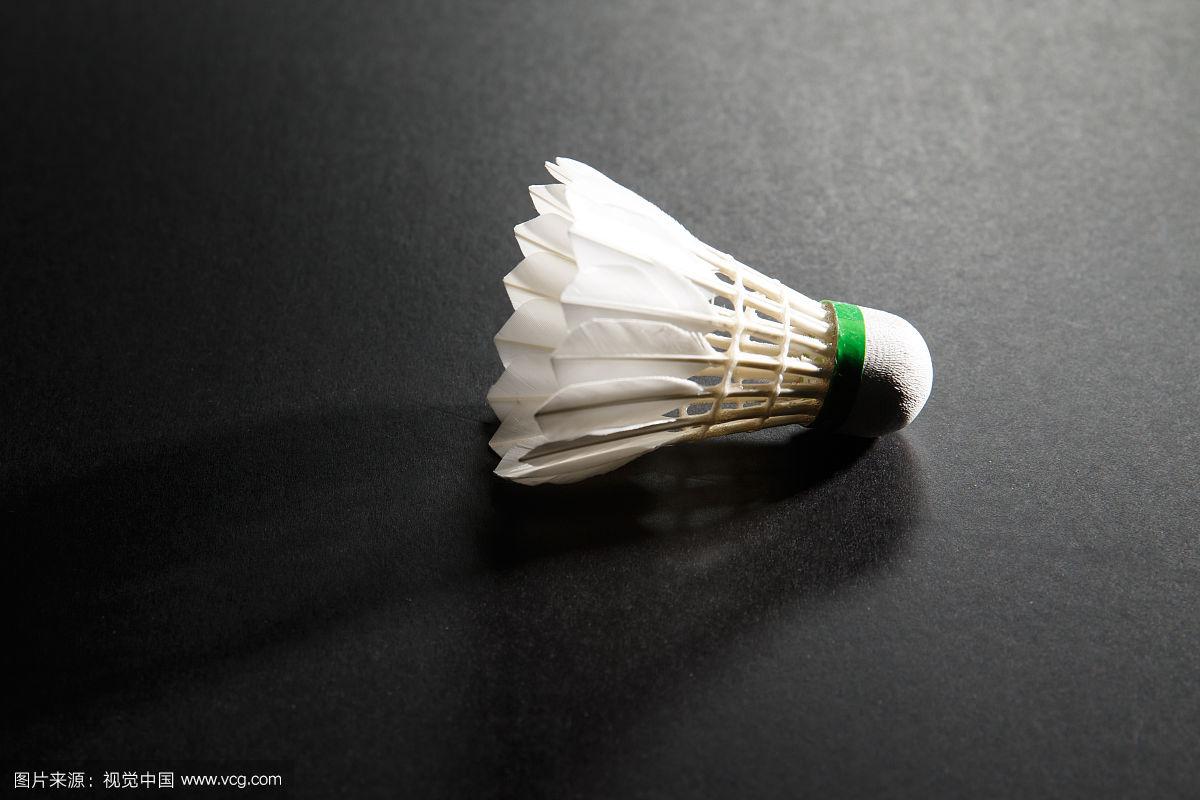 整个队伍的 整个队伍的